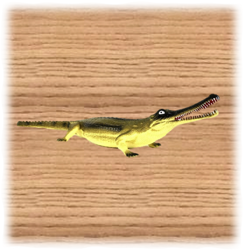 60 cm lang Ravensden Krokodil ca 