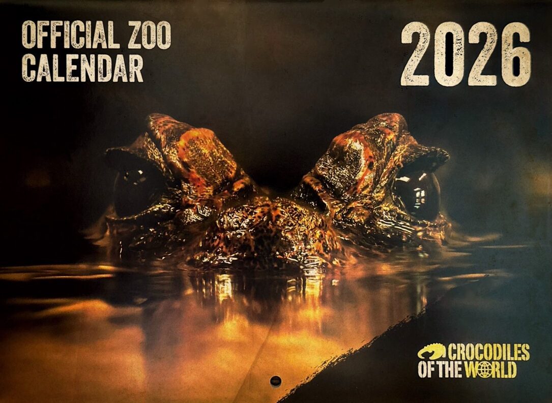 Snap up your 2026 Calendar!