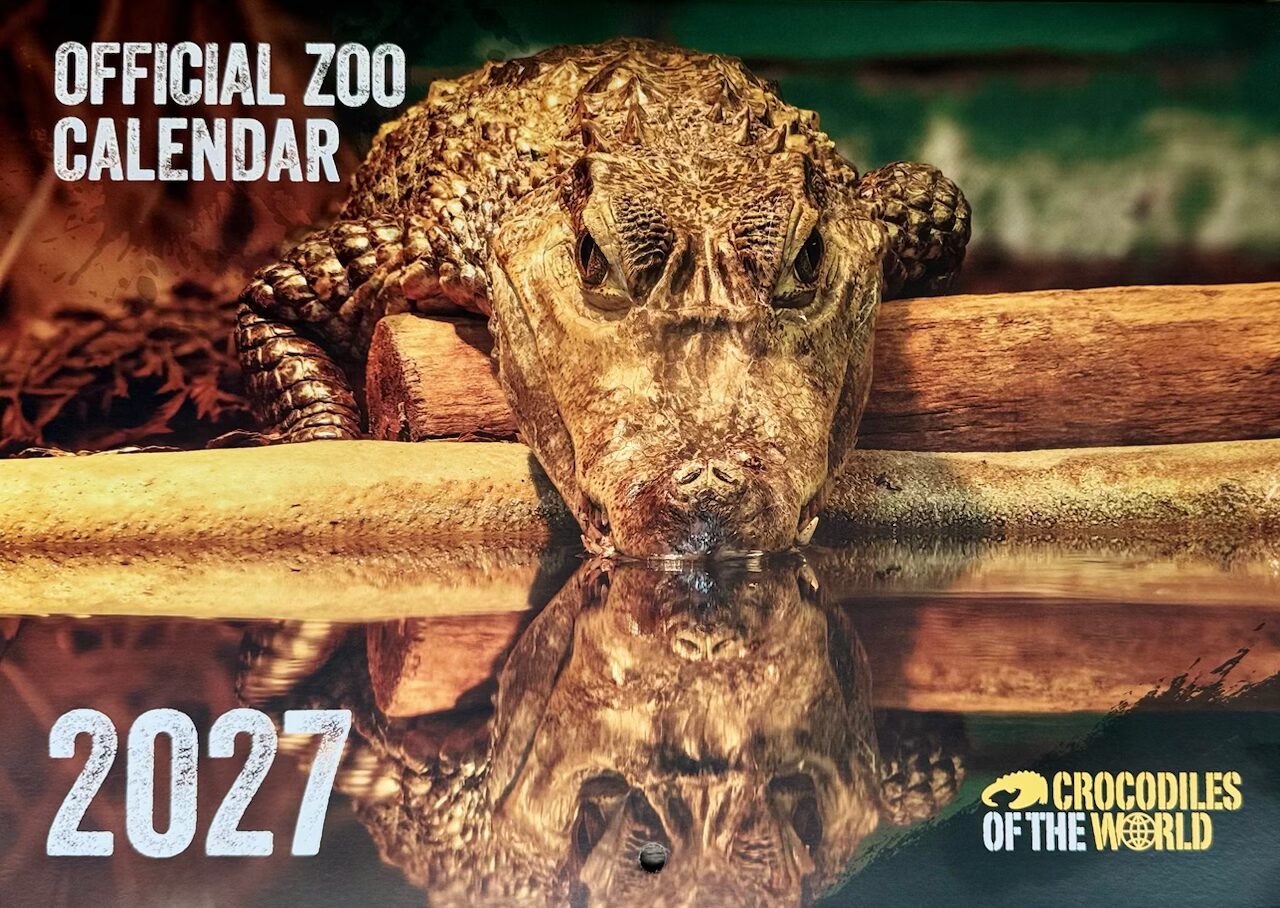 2 X COTW 2026 Calendars