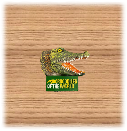COTW Croc Head Logo Magnet