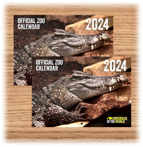 2 X COTW 2024 Calendars