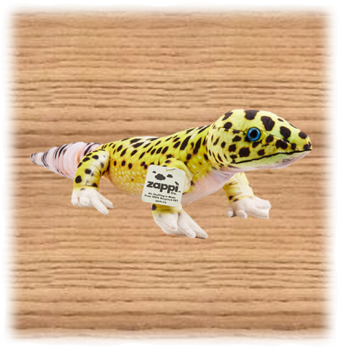 TGS 65cm Leopard Gecko