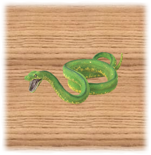 CollectA 14cm Green Tree Python Figure