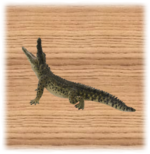 CollectA 18cm Nile Crocodile figure
