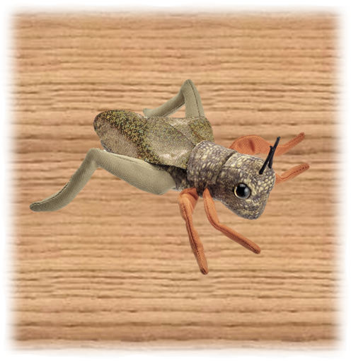 Petjes Grasshopper Plush Toy